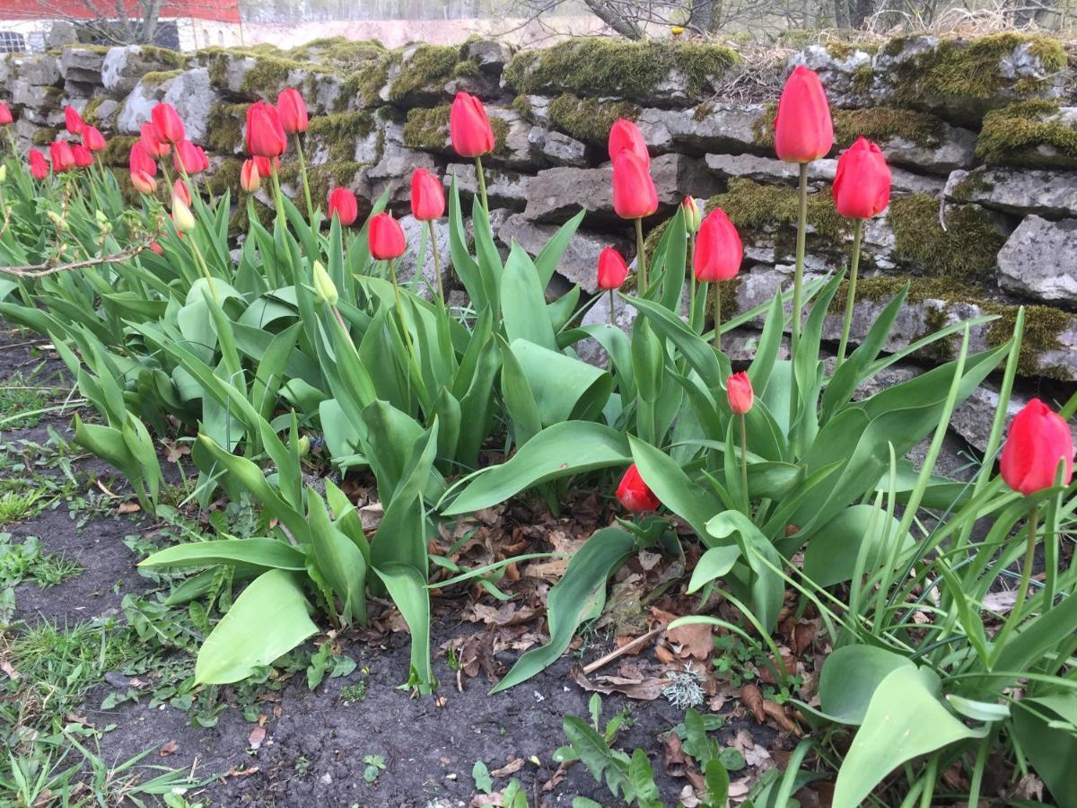 Stenbrottets Lillstuga Falköping Zewnętrze zdjęcie